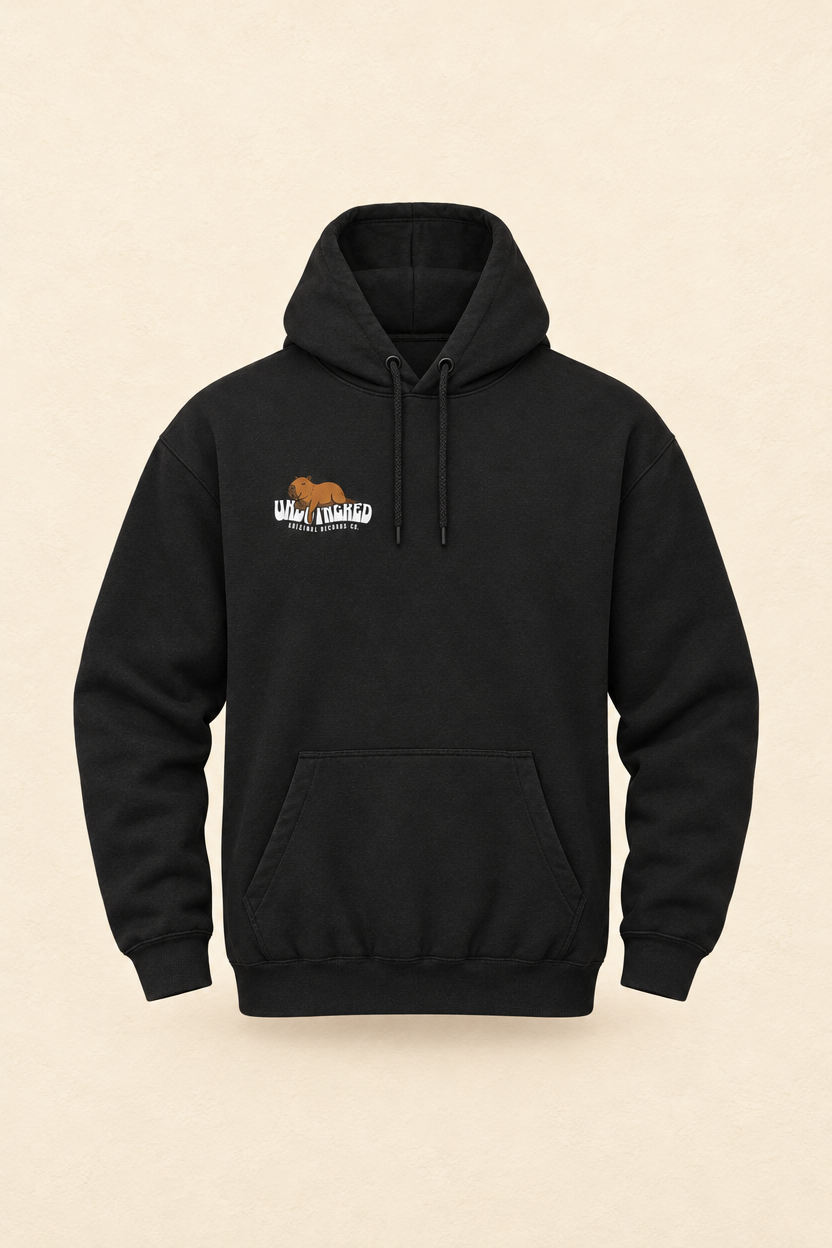 the unbothered hoodie